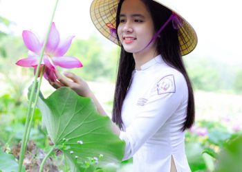 A young woman in traditional attire admires lotus flowers in a lush green field.