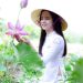 A young woman in traditional attire admires lotus flowers in a lush green field.