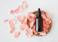 Top view of empty brown bottle for skin care product placed on wooden plate with fresh pink rose petals on white background isolated