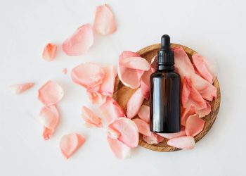 Top view of empty brown bottle for skin care product placed on wooden plate with fresh pink rose petals on white background isolated