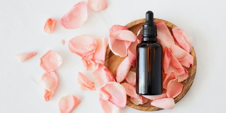 Top view of empty brown bottle for skin care product placed on wooden plate with fresh pink rose petals on white background isolated