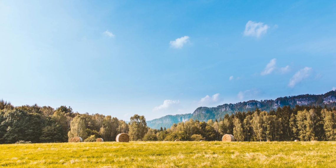 Scenic rural landscape with hay bales, forest, and clear blue sky under daylight.