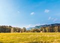 Scenic rural landscape with hay bales, forest, and clear blue sky under daylight.