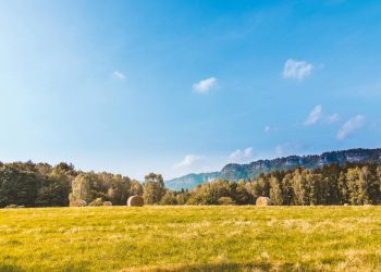 Scenic rural landscape with hay bales, forest, and clear blue sky under daylight.