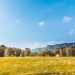 Scenic rural landscape with hay bales, forest, and clear blue sky under daylight.