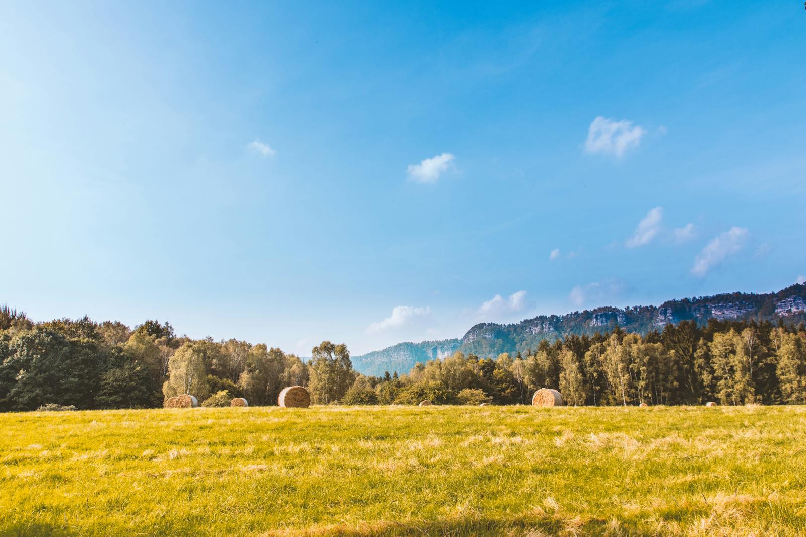 Scenic rural landscape with hay bales, forest, and clear blue sky under daylight.