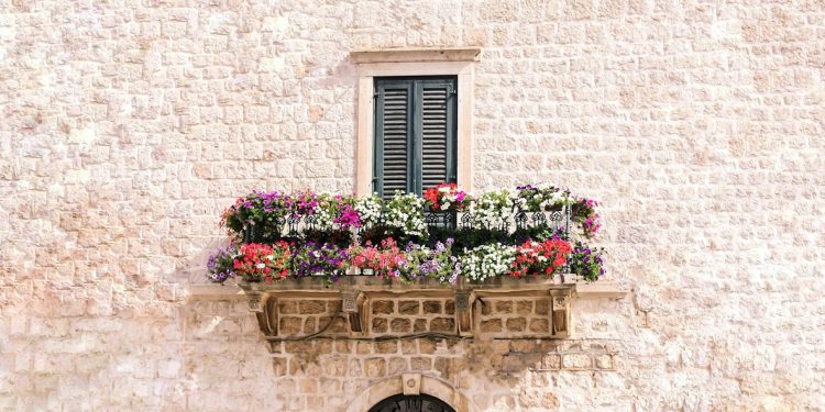 a window with flowers on it
